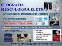 Ecografía Musculoesquelética Ecografía Musculoesquelética